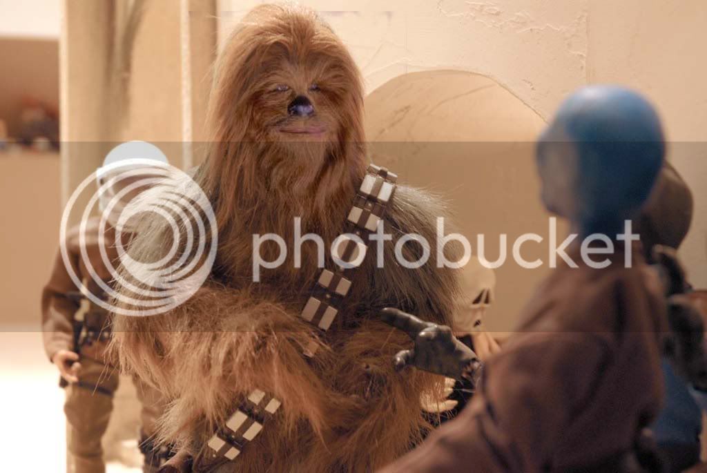 wookiecopy.jpg