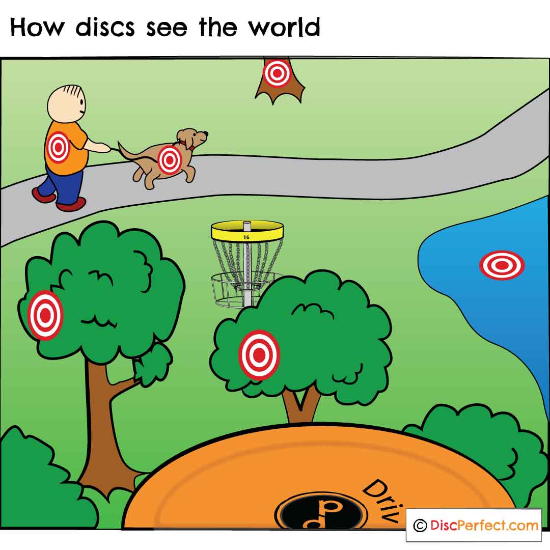 Disc-Golf-How-Discs-See-The-World.jpg