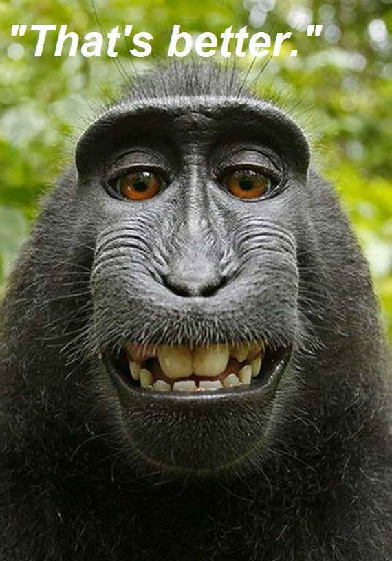 Smiling-gorilla-edited1.jpg