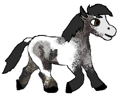 58435Blue_roan_pinto.JPG