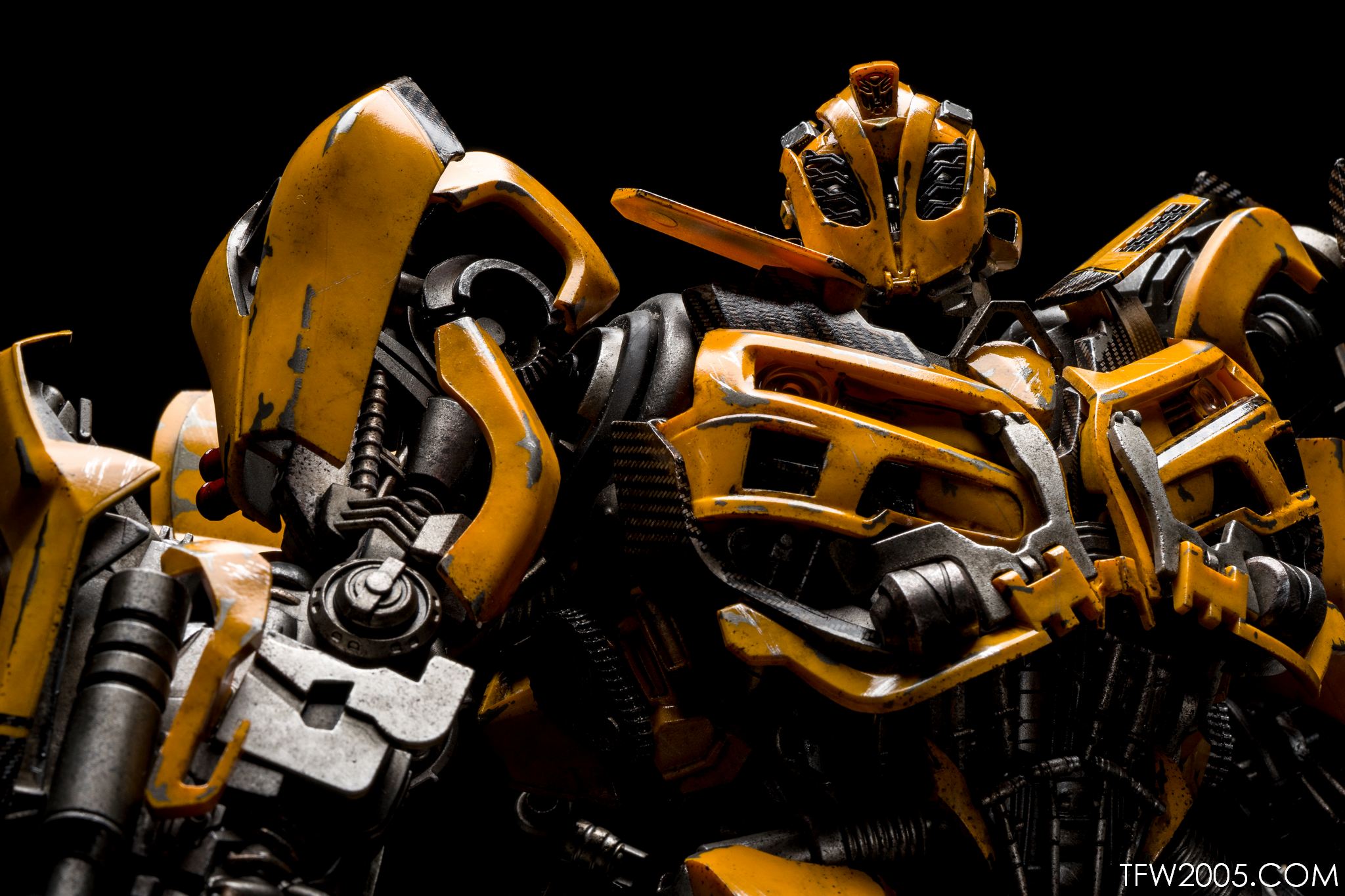 3A-Bumblebee-079.jpg