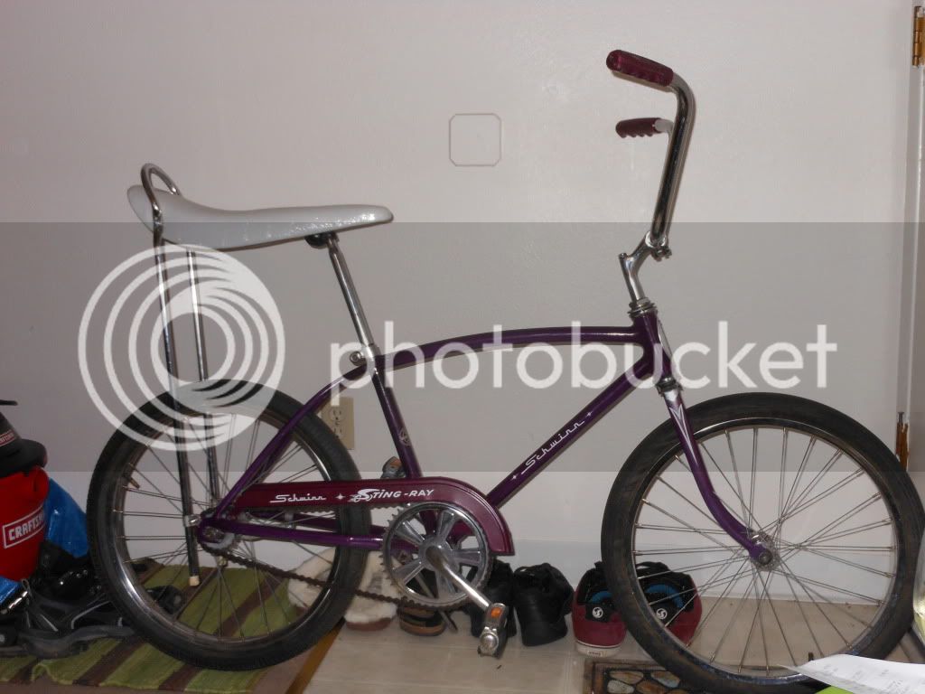 schwinn002-1.jpg