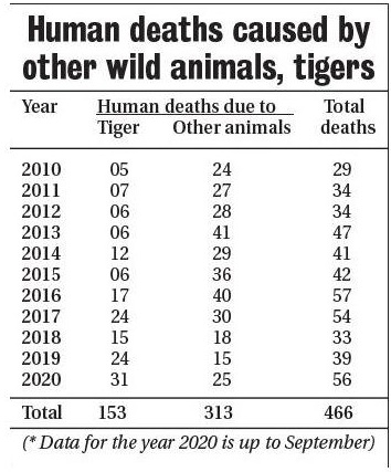 2_09_32_41_human-deaths_1_H@@IGHT_427_W@@IDTH_354.jpg