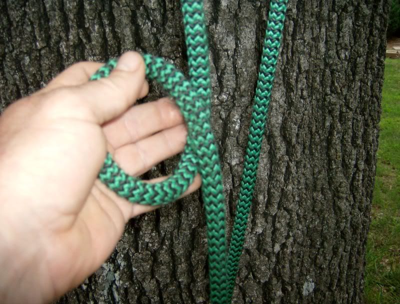 Rigging knots  Arborist, Chainsaw & Tree Work Forum