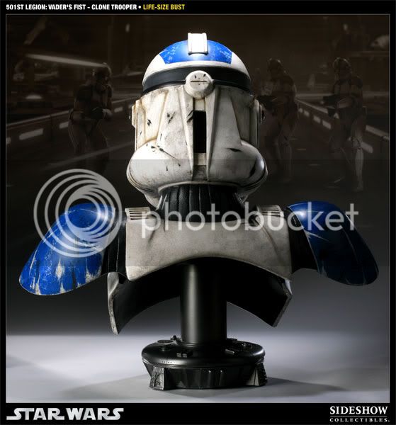 501stbust2.jpg