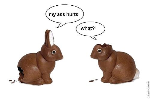 Chocolate%252520Bunny%252520Rabbits.jpg