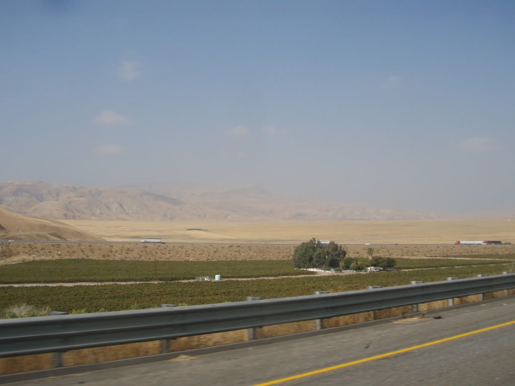 PA250094.jpg