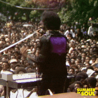 Sly And The Family Stone Dancing GIF by Searchlight Pictures