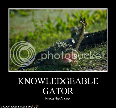 funny-animal-captions-animal-capshunz-knowledgeable-gator.jpg