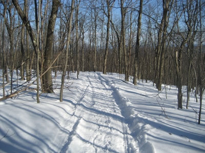 pocumtucktrail-2007-0228a.jpg