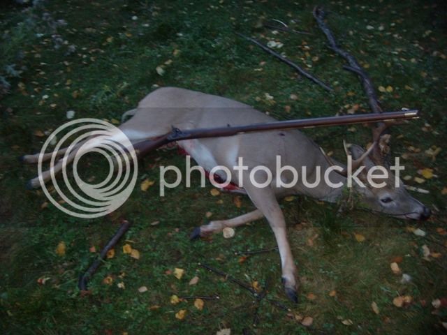 deer10-22-12.jpg