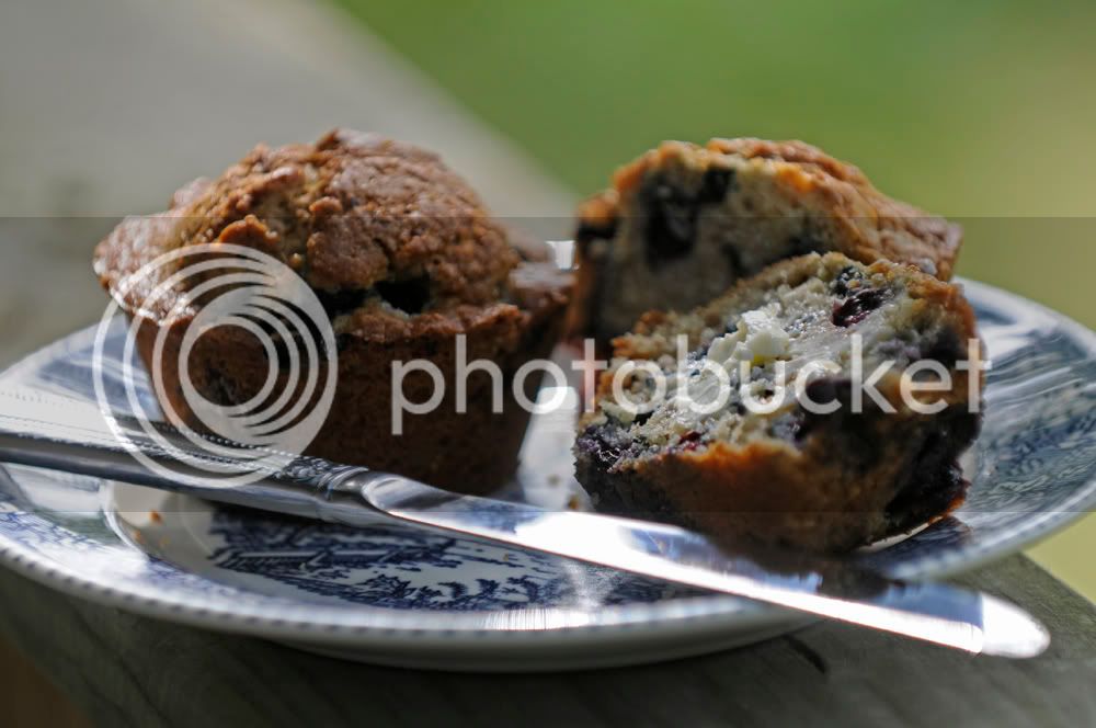 muffin01lr.jpg