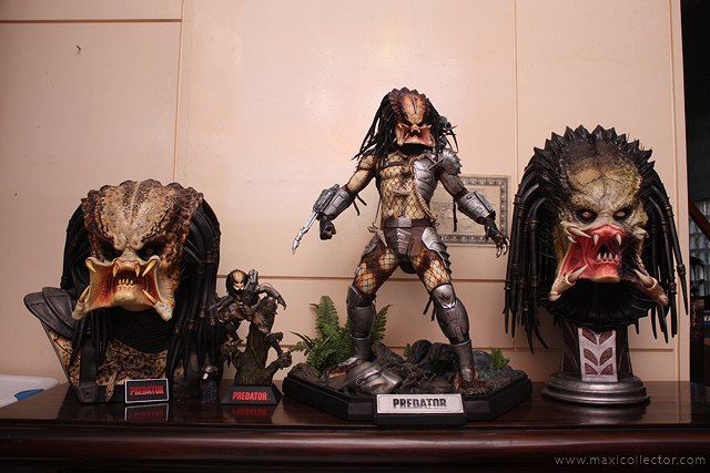 Predator_Display_by_Maxicollector.jpg