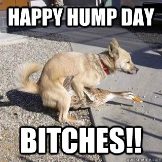 123354-Happy-Hump-Day-Bitches.jpg