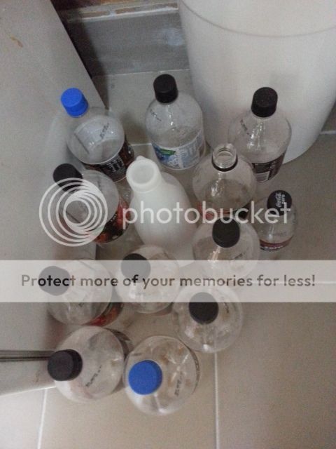 Bottles%20out_zpscqqa2qdb.jpg