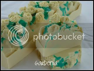 Gardenia023-1.jpg