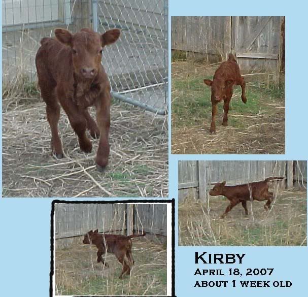 Kirby-April192007-collage.jpg