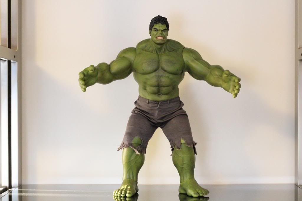 Hulk1_zps2c104b60.jpg