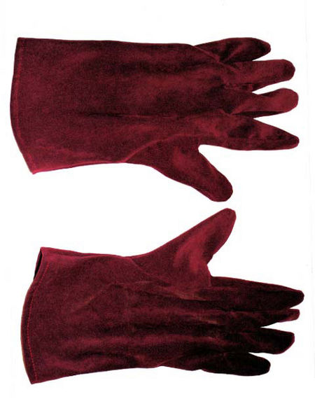 450px-TR_ROTJ_Gloves.jpg