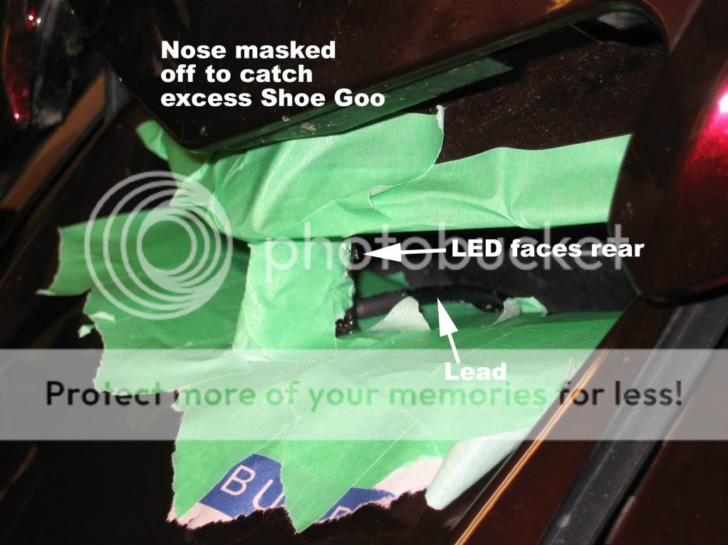 Nose1.jpg