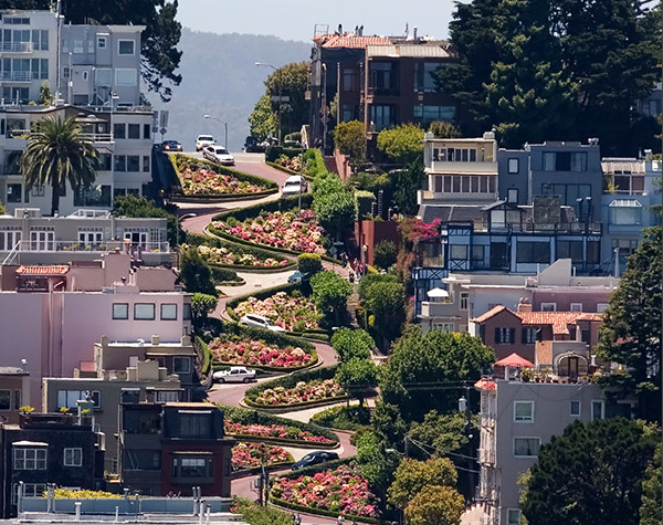 10403-san-francisco-lombard-street-picture.jpg