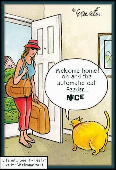 automatic-cat-feeder-cartoon.jpg