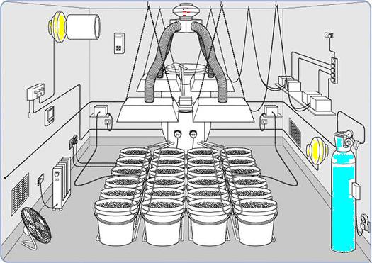 hydroponic-grow-room.jpg