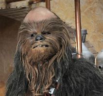 Image result for bald headed star wars chewie