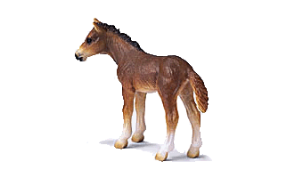 Schleich_Holstein_Foal.gif