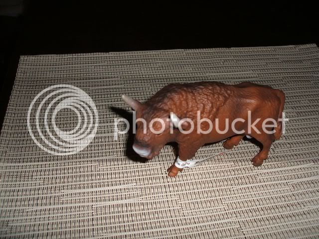 oct3108schleichbuffalo640x480.jpg