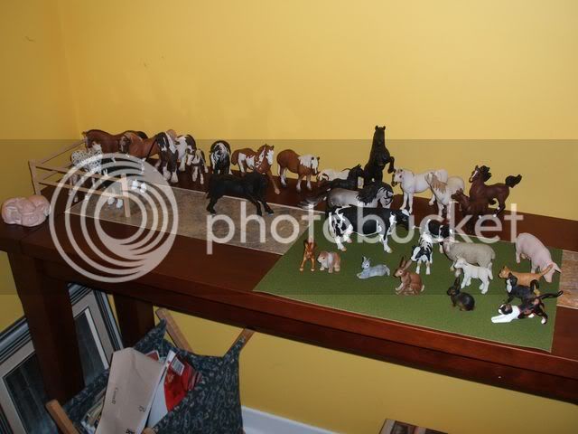 shelf002640x480.jpg