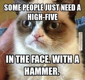 Cat-Memes-High-Five-with-Hammer_zpsb91b11b9.jpg