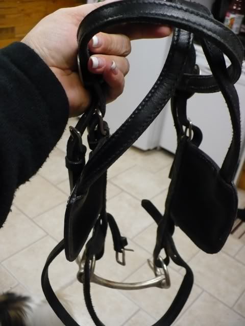 harness4.jpg