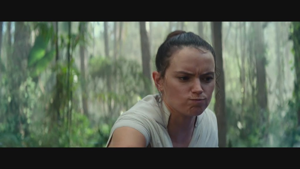 rey-funny-face-1.jpg