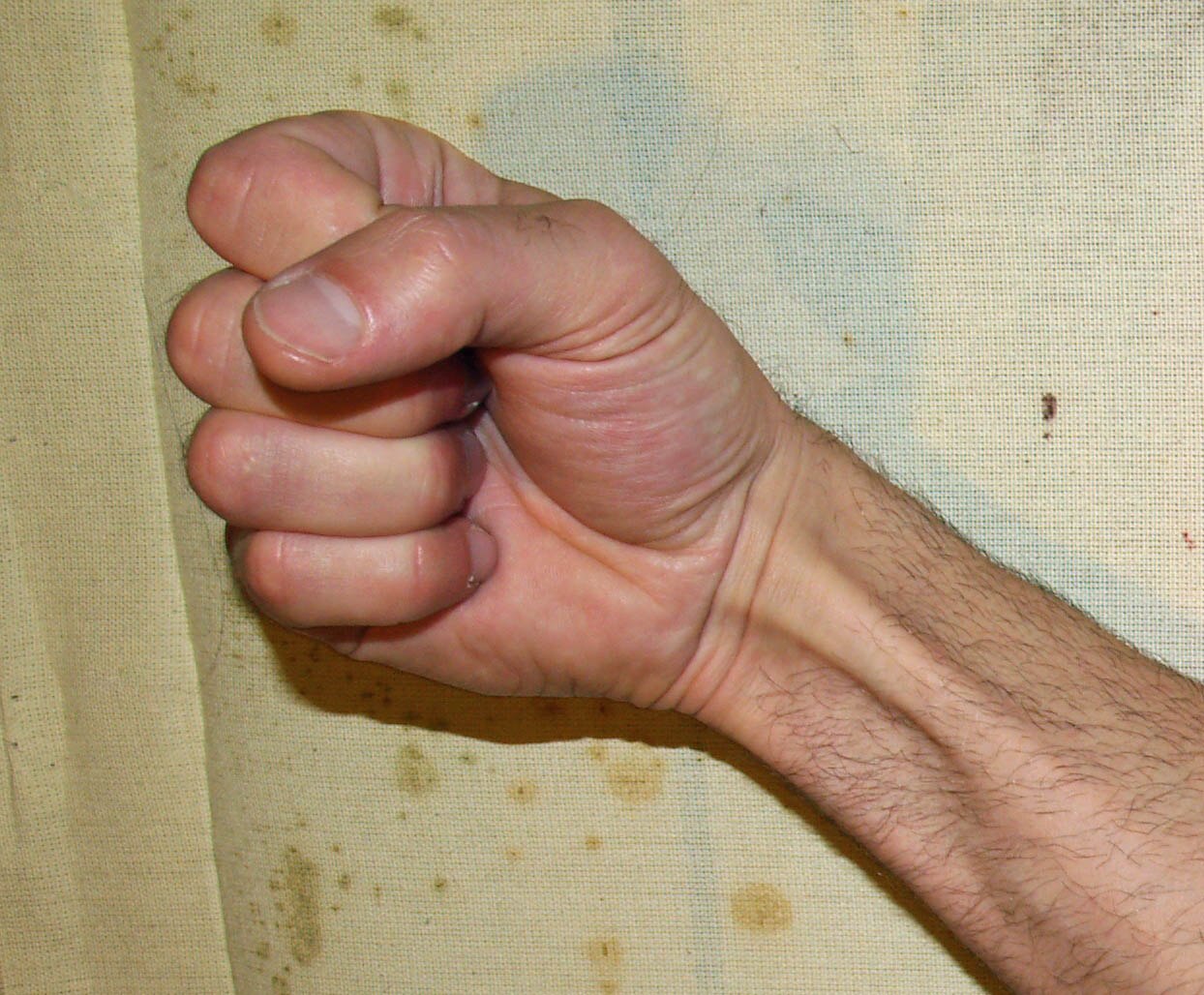 Fist_by_David_Shankbone.jpg