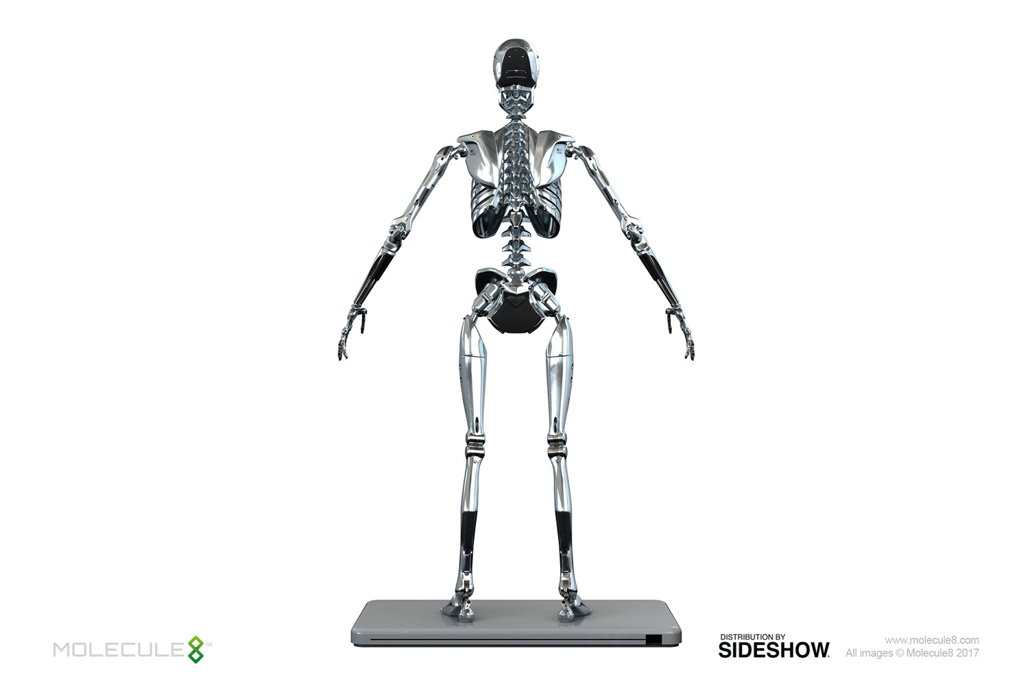 mark-1-endoskeleton-sixth-scale-molecule8-903050-02.jpg