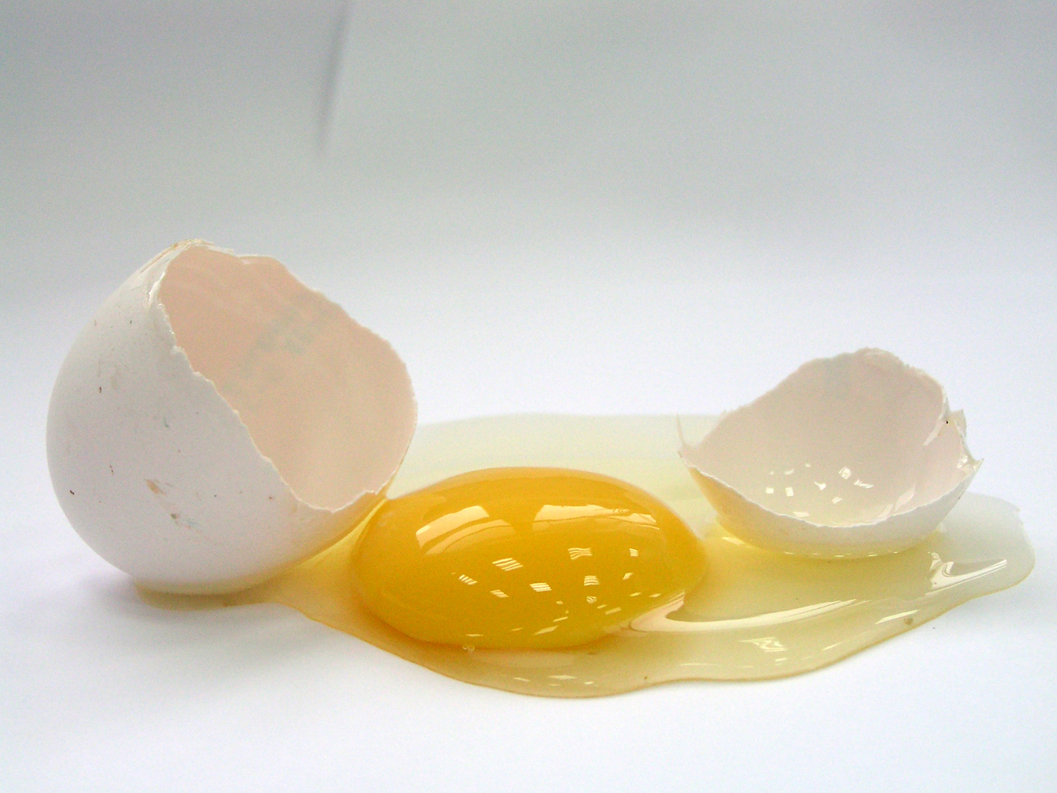 broken-egg1.jpg