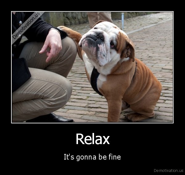 demotivation.us_Relax-Its-gonna-be-fine_131430933393.jpg