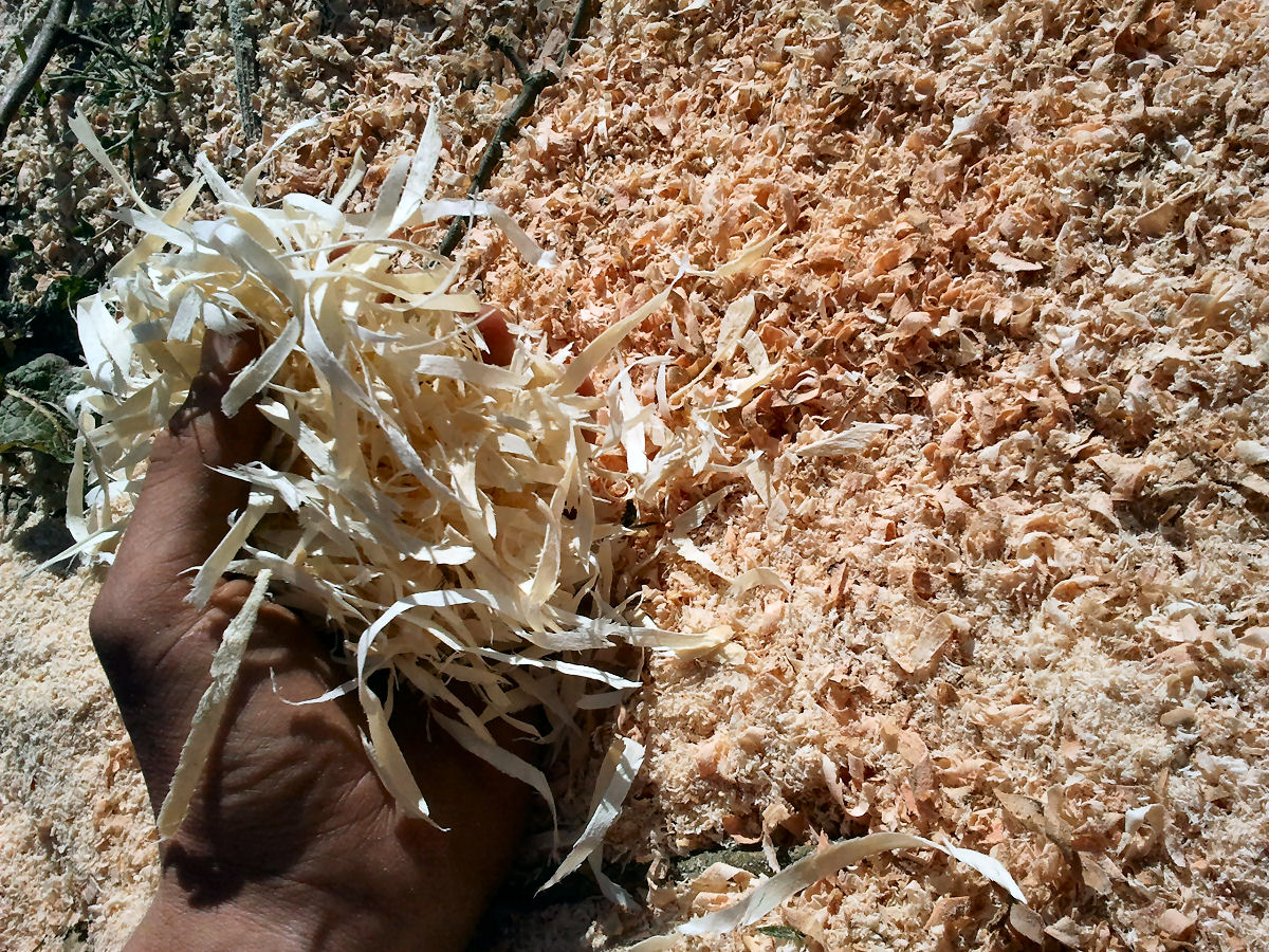 difference-in-shavings.jpg