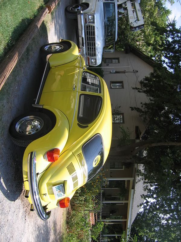 beetle009.jpg