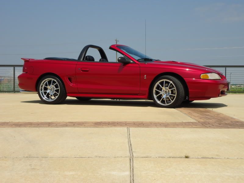 1996MustangCobra207.jpg