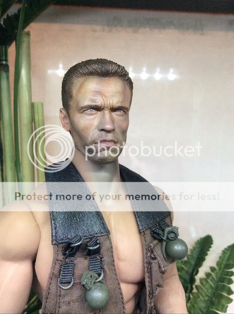 arnoldpred6-Copy_zpsaff531f2.jpg