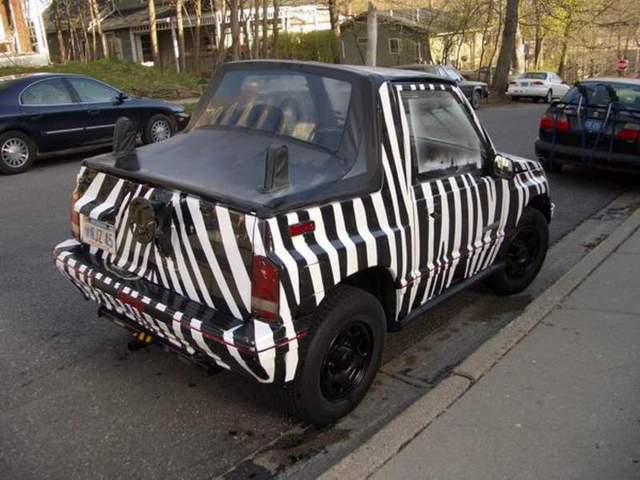 Zebra+Car+rear1145470858.jpg
