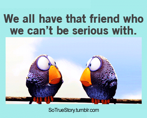 323322-We-All-Have-That-Friend-Who-We-Can-t-Be-Serious-With....gif