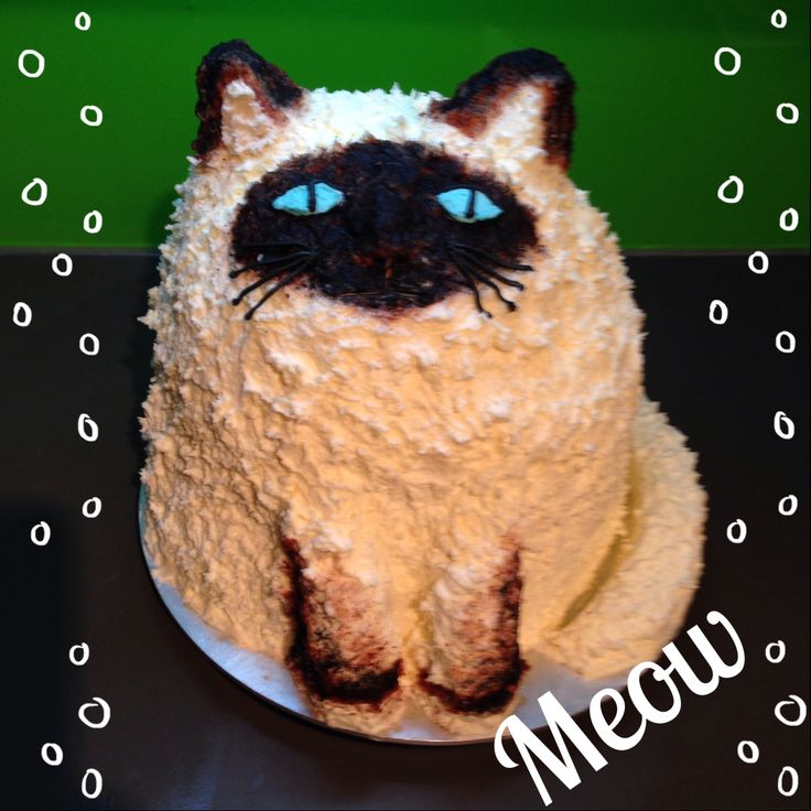 001c2040ea8869713f46f28853ff2fca--cat-cakes-th-birthday.jpg