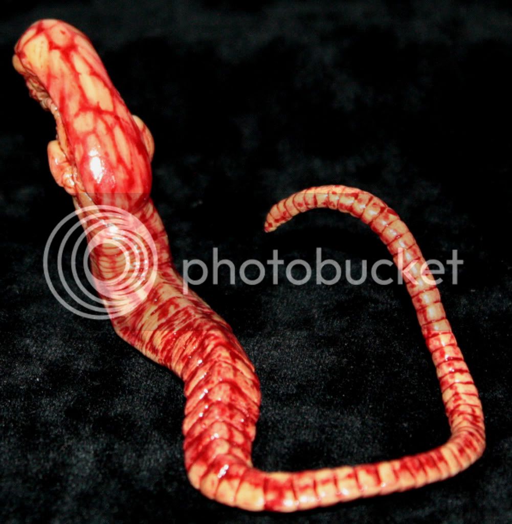 ChestbursterBack.jpg