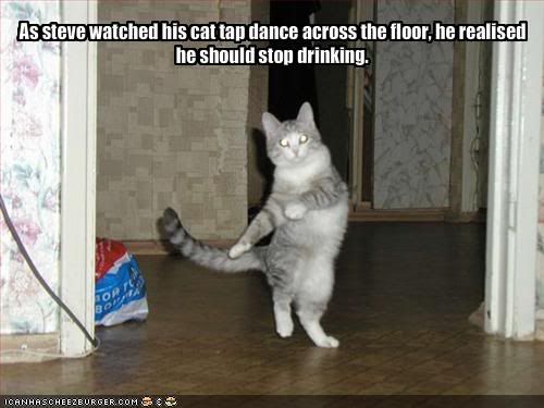 funny-pictures-your-cat-is-tapdanci.jpg