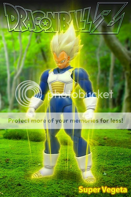 SuperVegeta_zps9789cc0b.jpg