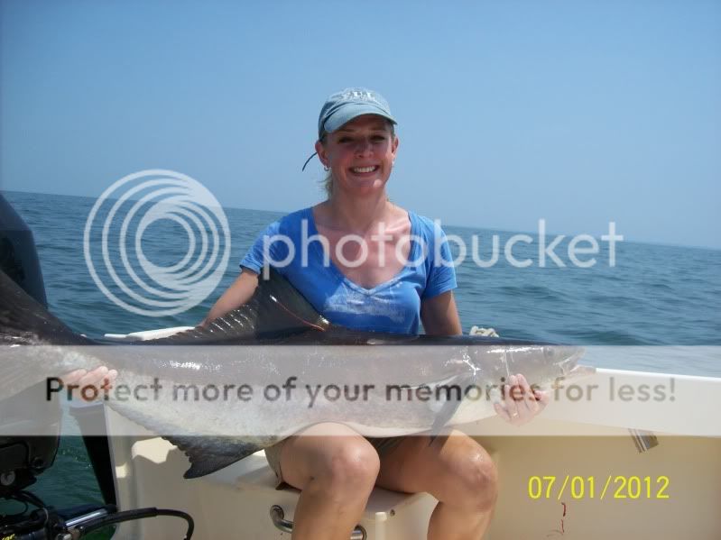 cobia7-1-12Beths007.jpg