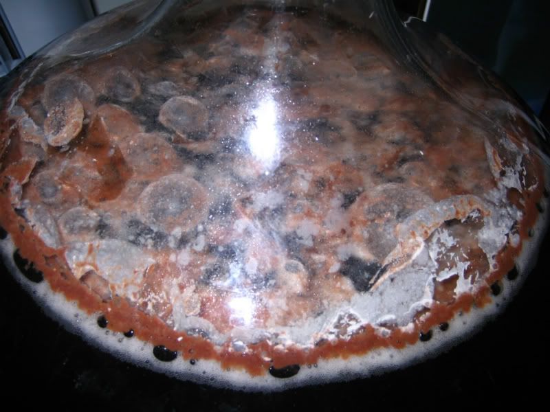 pellicle3.jpg